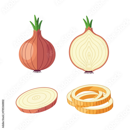 Onion Cross Section Icon