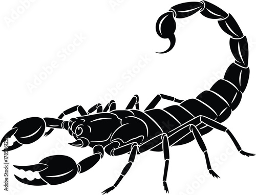 Detailed black silhouette of a scorpion with its tail raised and claws extended on a white background