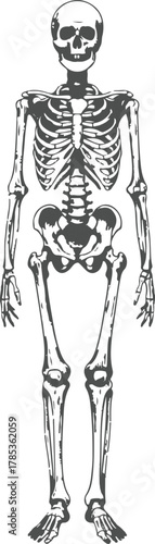 medieval knight with sword and shield vector illustration silhouette