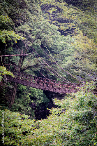 Iya Kazurabashi Vine Bridge on a Cloudy Day in Tokushima, Japan