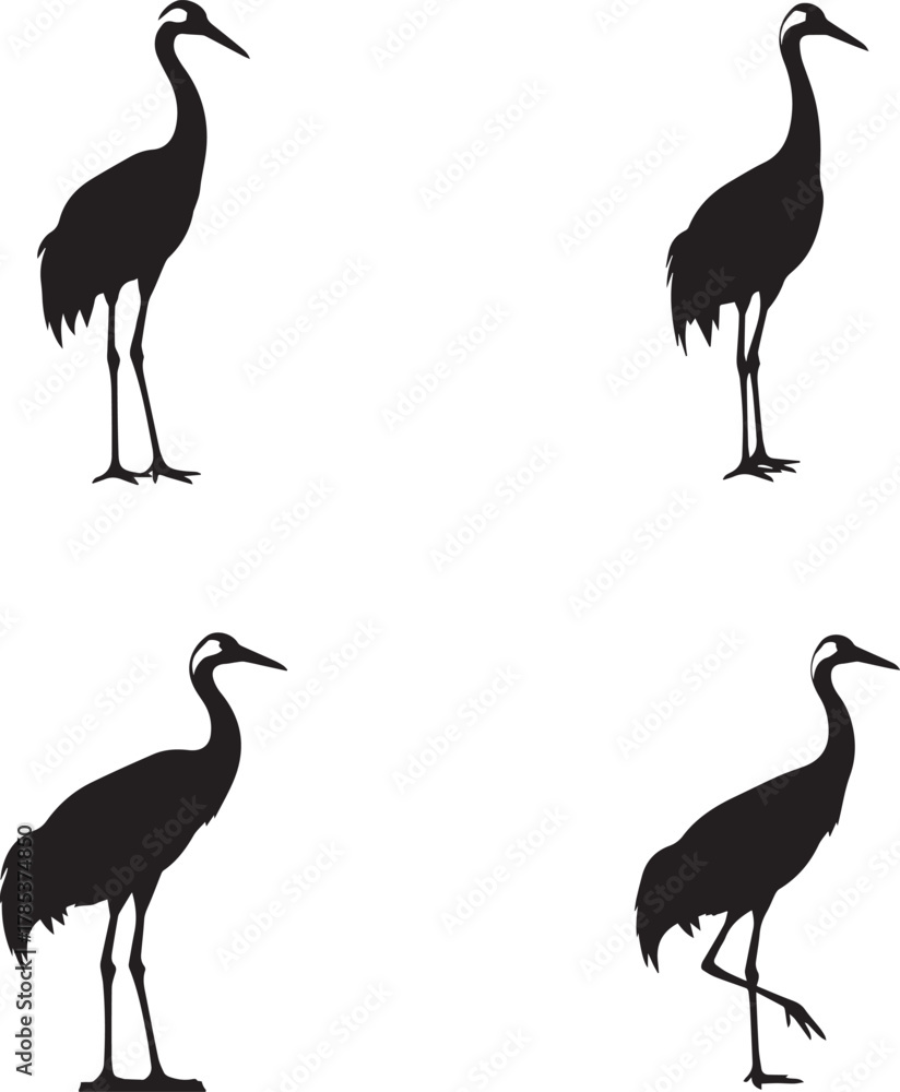 Fototapeta premium Crane and Heron Silhouette Set – Elegant Wading Bird Poses for Nature Design and Educational Use