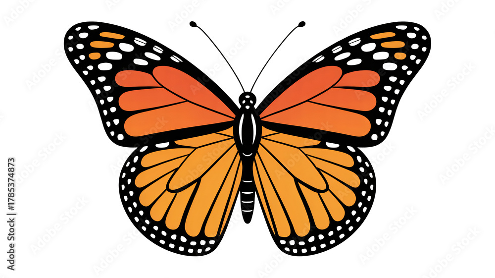 Fototapeta premium Vibrant orange butterfly with delicate wing patterns