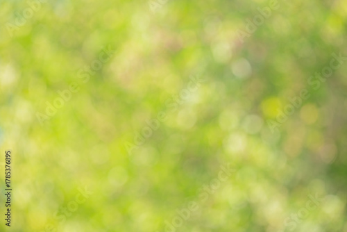 Natural blurred greenery, tree leaves defocused. Defocus lights of plants.