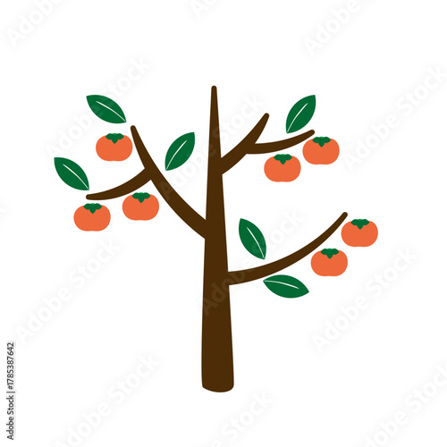 シンプルな柿の木｜実りの季節を感じるイラスト素材