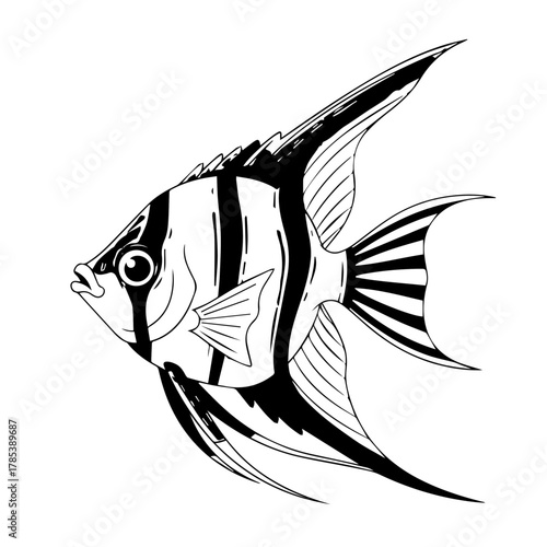 Elegant black and white angelfish illustration, capturing the graceful beauty of tropical aquatic life, perfect for serene oceanic creature designs and nature-themed projects