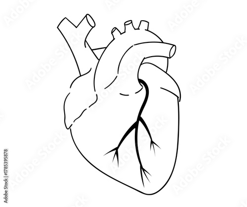 心臓のシンプルな線画イラスト