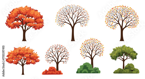 A collection of diverse tree illustrations depicting different seasons, including vibrant autumn colors, bare winter branches, and lush summer foliage.