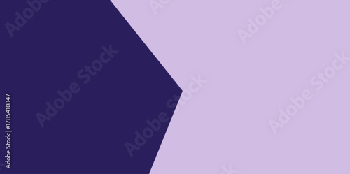 Modern Geometric Hexagonal Split Background Vector Illustration. Clean, angular split of dark and light purple forming a subtle arrow or chevron shape.