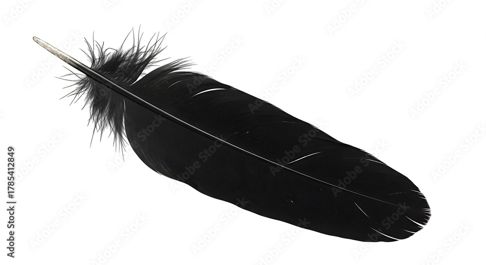 Obraz premium Elegant Black Feather Soft Texture Detail Natural Bird Plumage Raven Wing Concept Design