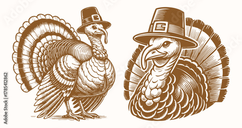 Thanksgiving Turkey Mascot Vector Set