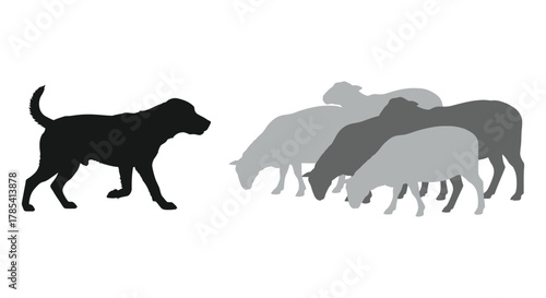 Sheepdog silhouette herding livestock farm animals vector graphic