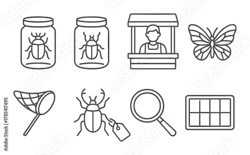 Insect collection and study items: jars, butterfly, magnifying glass, net, vendor