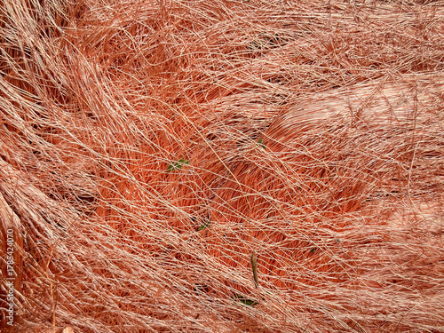 Photos Macro texture of tangled copper wire shavings creating a dense metallic mesh wit