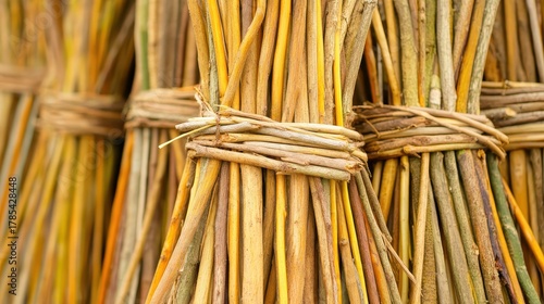 Bundles of thin flexible willow branches tied together