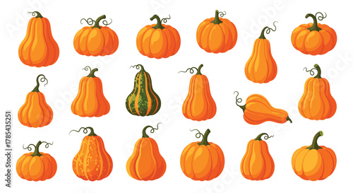 A vibrant assortment of cartoon pumpkins and gourds in diverse shapes and sizes, ideal for fall season and Thanksgiving themes.