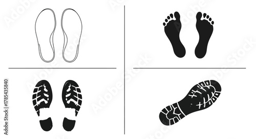 Footprints and footwear types vector illustration for design needs