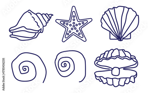 Collection of sea shells and starfish