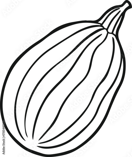ridge gourd outline vector illustration line art