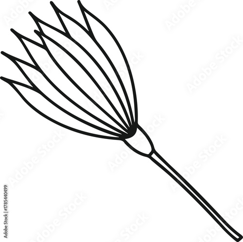 salsify outline vector illustration line art