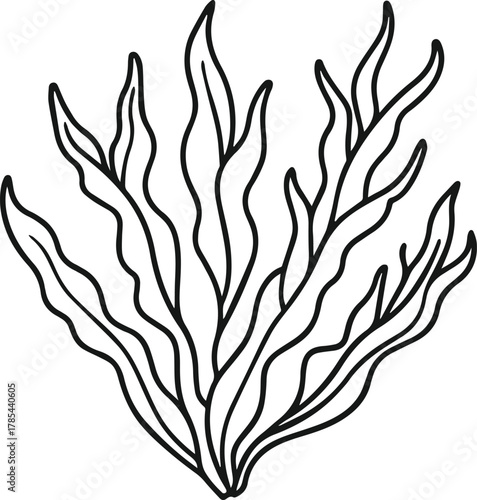 seaweed outline vector illustration line art