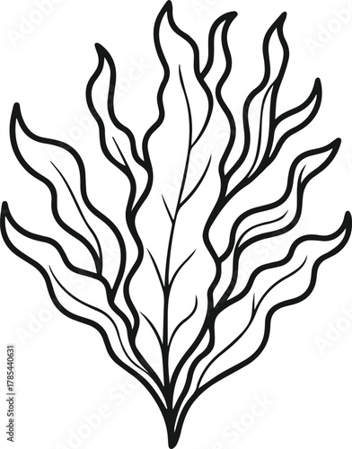 seaweed outline vector illustration line art
