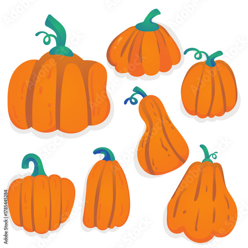 Set of Various Cartoon Pumpkins and Gourds Vector Illustration