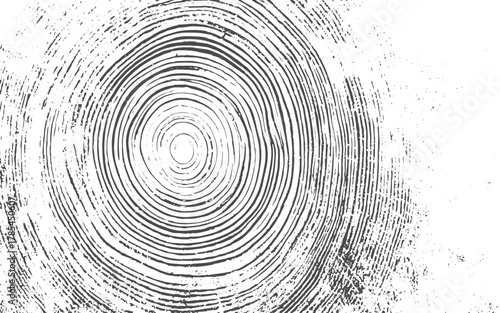 Grunge cracked wood grain texture overlay.Unique vector wood cut texture texture. Texture for overlay, stencil in grunge style. Design element