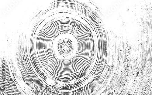 Grunge cracked wood grain texture overlay.Unique vector wood cut texture texture. Texture for overlay, stencil in grunge style. Design element