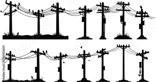 Silhouette collection of birds on telephone poles and wires utility pole power line