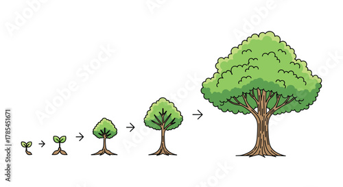 A visual representation of the growth stages of a tree, from a tiny seedling sprouting from the ground to a large, fully developed, mature tree.