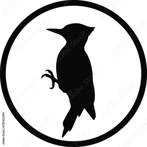 Vector woodpecker bird perched within a circular frame silhouette illustration