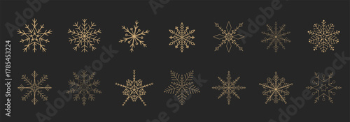 Snowflake set, elegant golden silhouettes of snowflakes, winter crystal. Line ornament, sparkles festive design element. Trendy different shapes of snow, 