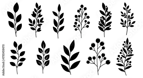 Minimalist botanical silhouettes: diverse branch and berry designs on white