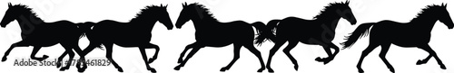 Horse running silhouette, galloping motion, animal biomechanics, black vector, equine sequence, dynamic pose, wild horse, speed, nature, illustration