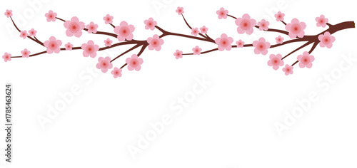 Long horizontal border of pink cherry blossom branches