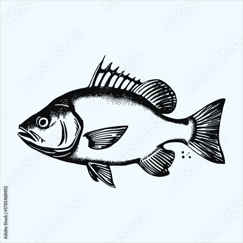 Black and white illustration of a fish isolated on white background
