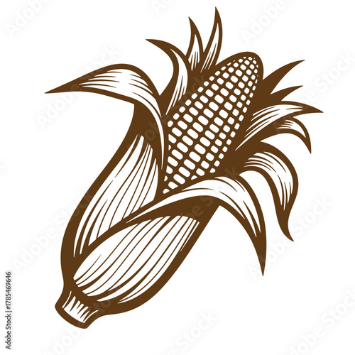 Vintage art illustration of a brown corn on the cob with detailed leaves and kernels