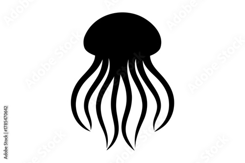jellyfish on white background