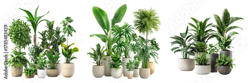 A collection of lush potted plants in various shapes and sizes, bringing the freshness of the outdoors to an interior space. The vibrant green foliage adds a touch of nature and serenity.