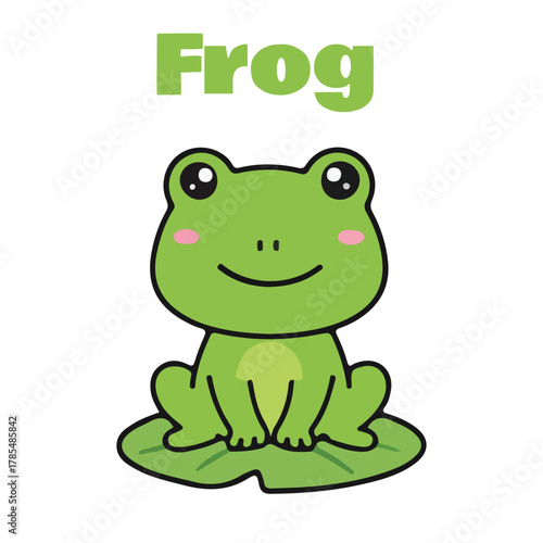 Cute Cartoon Frog Illustration