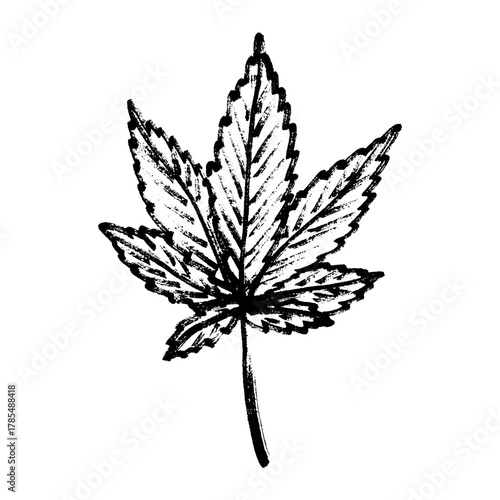 Hand drawn cannabis leaf Medicine marijuana Hemp leaves clipart in doodle style Single element for print, web, design, decor