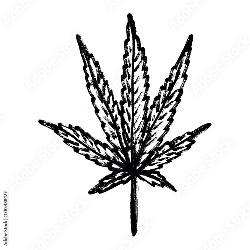 Hand drawn cannabis leaf Medicine marijuana Hemp leaves clipart in doodle style Single element for print, web, design, decor