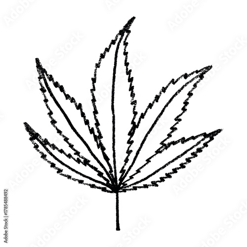 Hand drawn cannabis leaf Medicine marijuana Hemp leaves clipart in doodle style Single element for print, web, design, decor