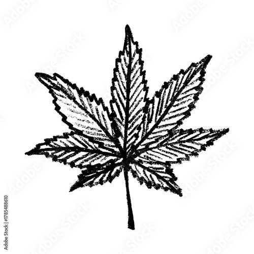 Hand drawn cannabis leaf Medicine marijuana Hemp leaves clipart in doodle style Single element for print, web, design, decor