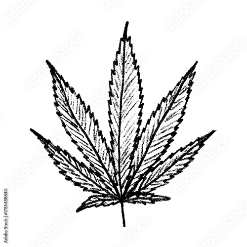Hand drawn cannabis leaf Medicine marijuana Hemp leaves clipart in doodle style Single element for print, web, design, decor