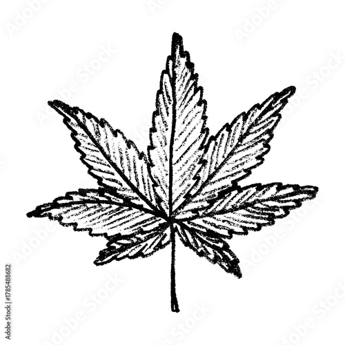 Hand drawn cannabis leaf Medicine marijuana Hemp leaves clipart in doodle style Single element for print, web, design, decor