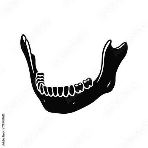 Human Jaw Bone Silhouette Flat Vector