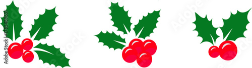 Set of Festive Holly Sprigs with Red Berries,Sprig of Christmas holly