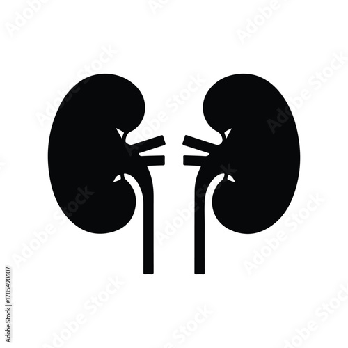 Human Kidneys Silhouette Flat Vector Icon