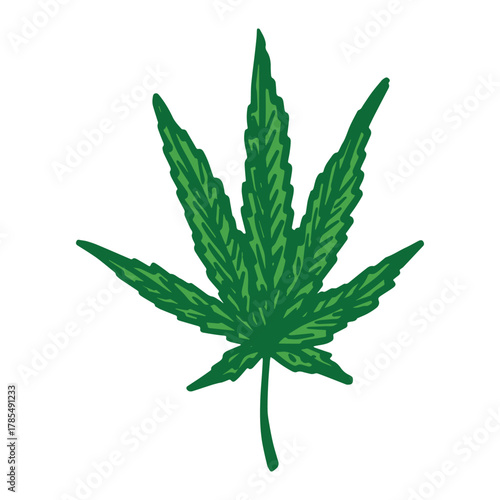 Hand drawn cannabis leaf Medicine marijuana Hemp leaves clipart in doodle style Single element for print, web, design, decor